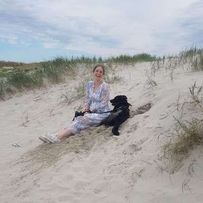 Hundetreffen-Spielen in 24850 Lürschau/ Hundeplatz 🐶🥰