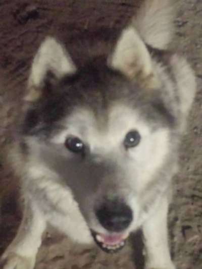 Von oben-Beitrag-Bild