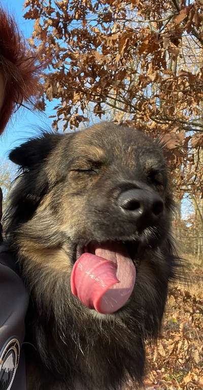 Tongue Out Tuesday-Beitrag-Bild