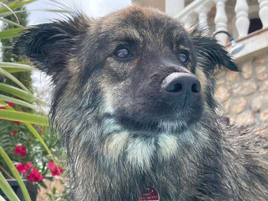 Lieblingsbild-Beitrag-Bild