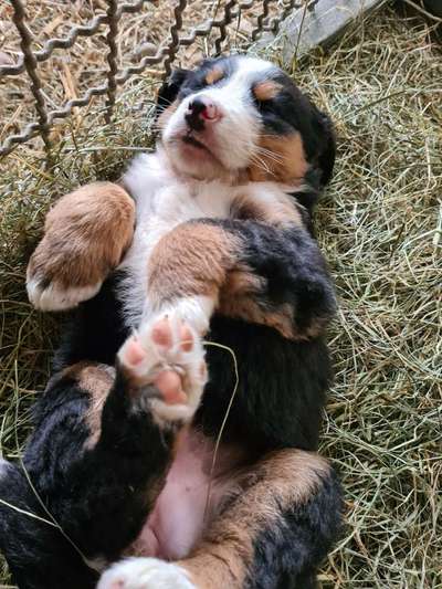 Fotochallenge Nr.65-Beitrag-Bild