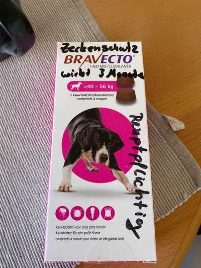 BRAVECTO-Beitrag-Bild