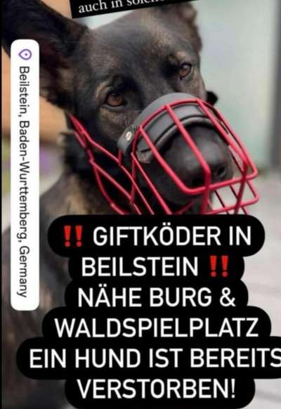 Giftköder-Giftköder-Bild