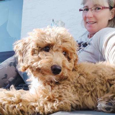 Hundetreffen-Gassirunde in Detmold und Umgebung-Bild