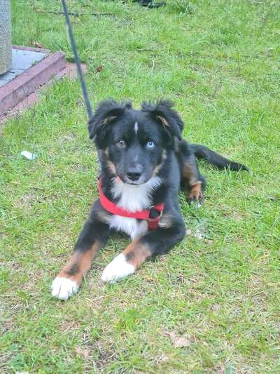 Sie werden so schnell erwachsen ...-Beitrag-Bild