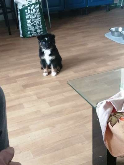 Sie werden so schnell erwachsen ...-Beitrag-Bild