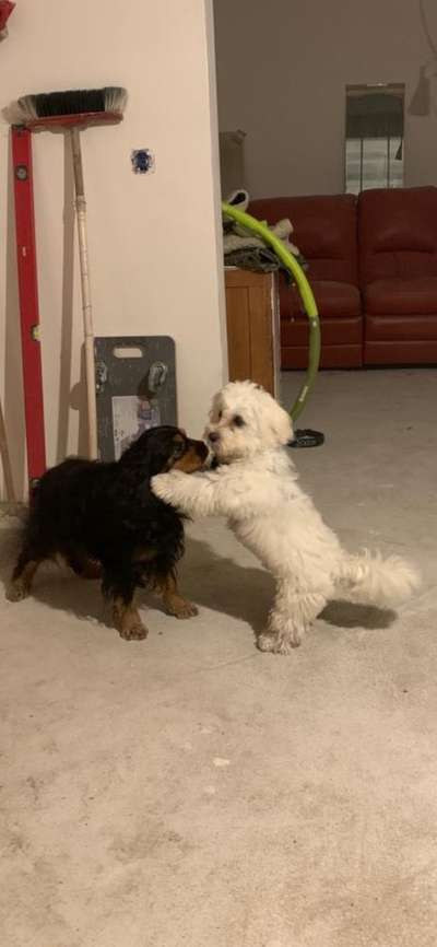 Fotochallenge Nr. 64-Beitrag-Bild