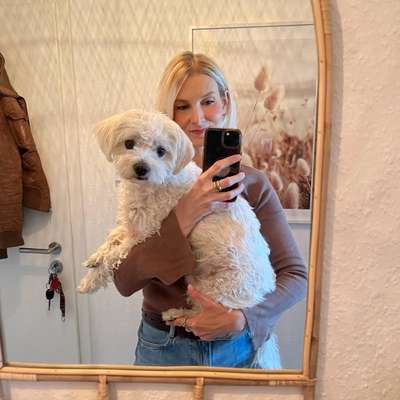 Hundetreffen-Gassirunde