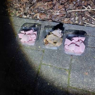 Giftköder-Wurst- & Schinken-Stücke, Földerichplatz-Bild