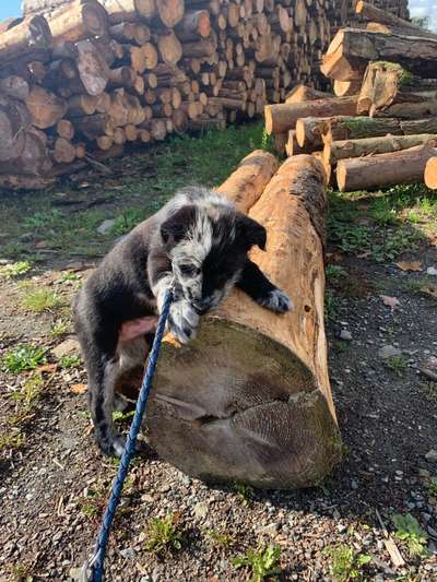 27. Handy Fotochallenge-Beitrag-Bild