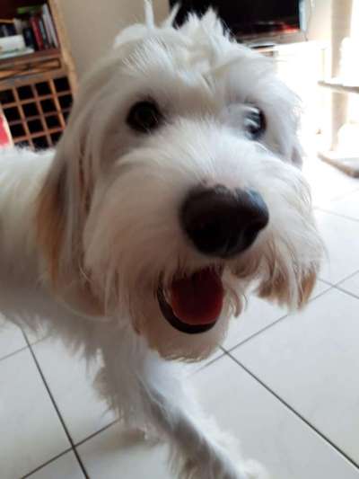 Lieblingsbild :D-Beitrag-Bild