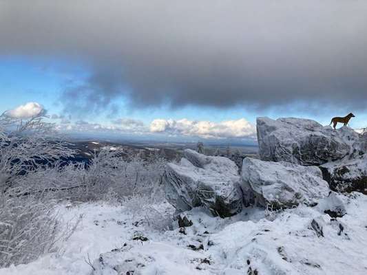 2. Bergfoto-Beitrag-Bild