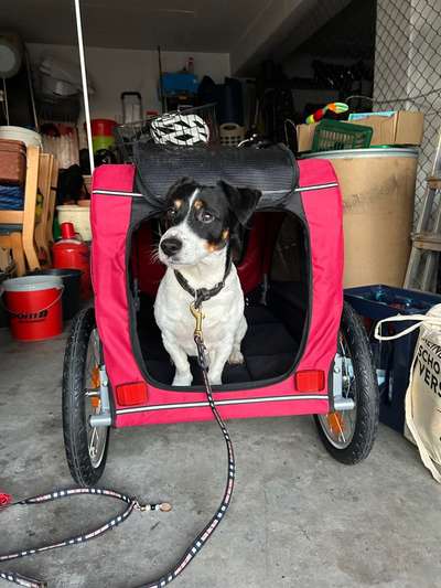 Mit Fahrradanhänger unterwegs?-Beitrag-Bild