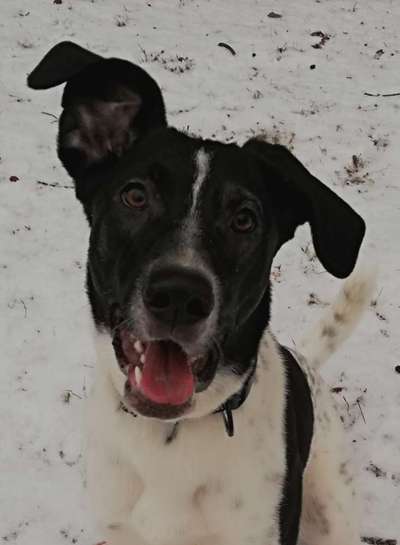 Fotochallange Nr. 57     PORTRÄT.   Beendet!!!!!!!!-Beitrag-Bild