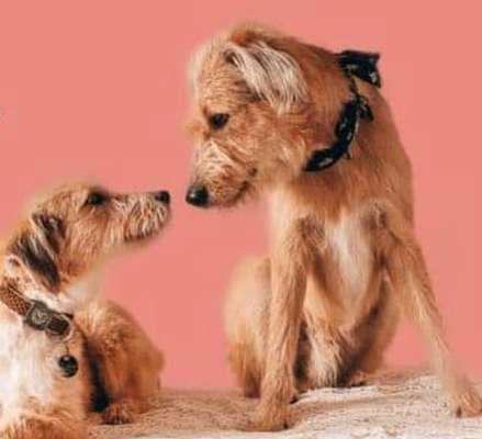 Lieblingsbild-Beitrag-Bild