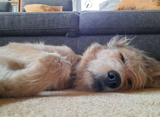 Schlafzeit!💖-Beitrag-Bild