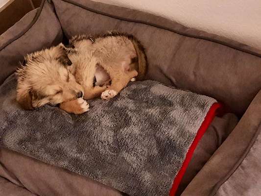 Sie werden so schnell erwachsen ...-Beitrag-Bild