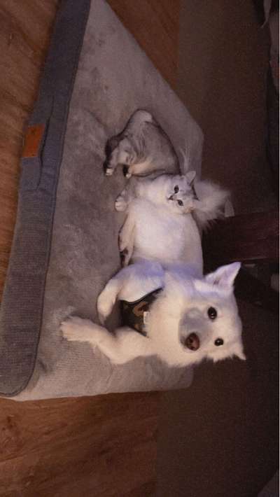 Lieblingsbild-Beitrag-Bild