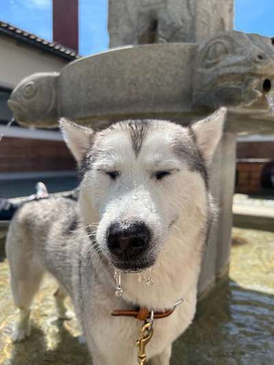 Lieblingsbild-Beitrag-Bild