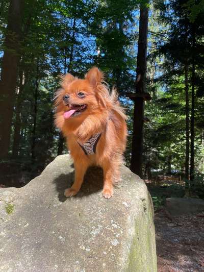 Lieblingsbild-Beitrag-Bild