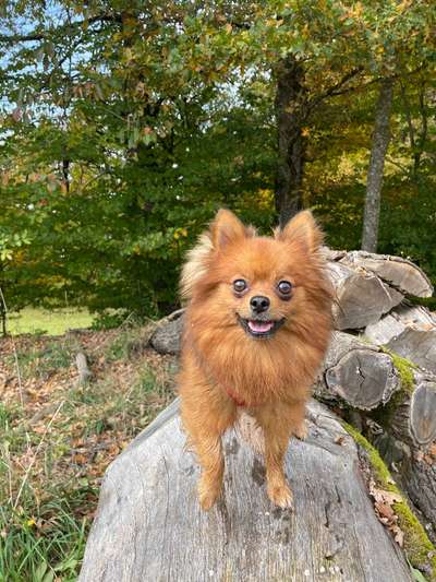 27. Handy Fotochallenge-Beitrag-Bild