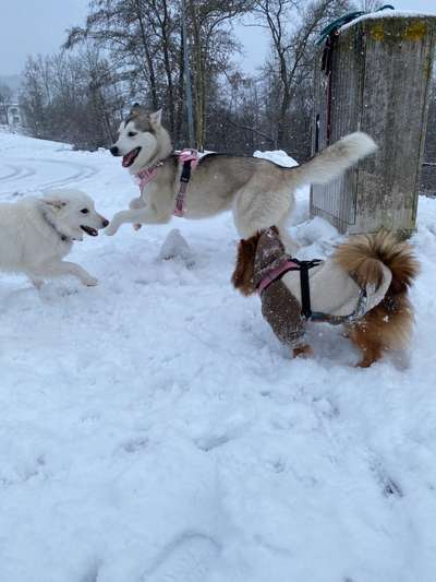 Handy-Foto-Challange Nr. 8-Beitrag-Bild