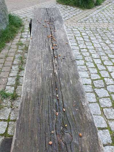 Giftköder-Möglicher Giftköder-Bild