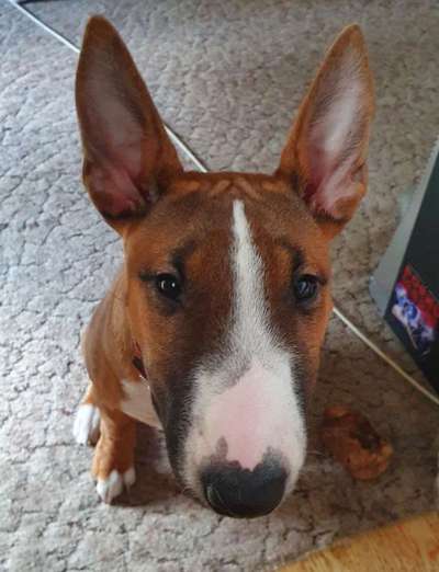 Von oben-Beitrag-Bild