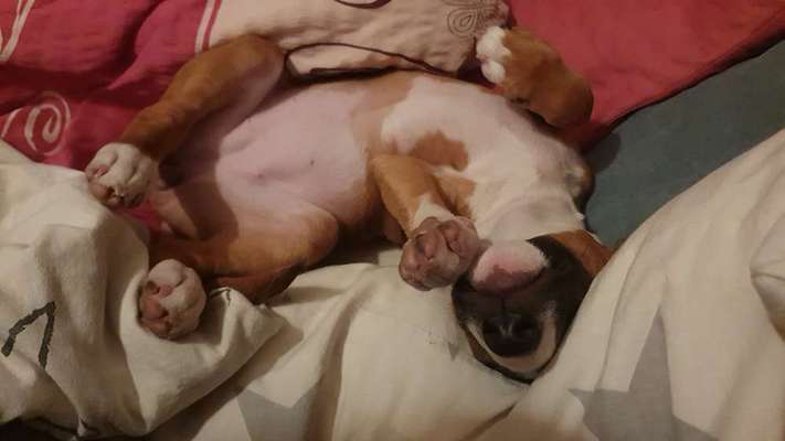 Fotochallenge Nr.65-Beitrag-Bild