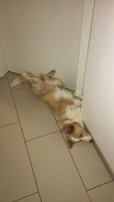 Foto Challenge - Zeigt her eure Bäuche-Beitrag-Bild