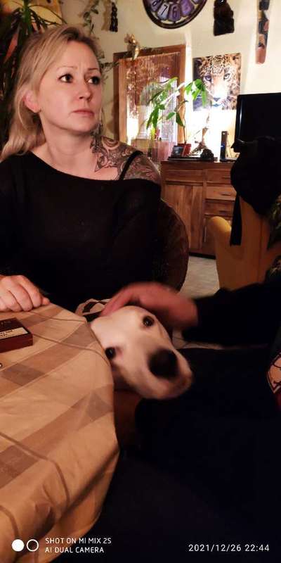 Zeigt mir die tollste Nahaufnahme von eurer Fellnase-Beitrag-Bild