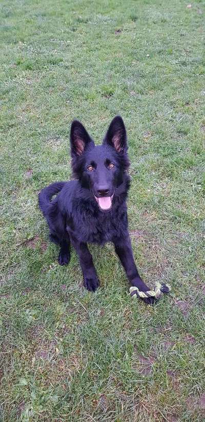 Lieblingsbild-Beitrag-Bild