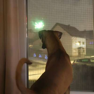 Wie habt ihr den Silvesterabend verbracht?-Beitrag-Bild