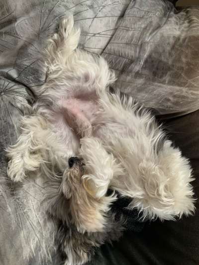 Fotochallenge Nr.65-Beitrag-Bild