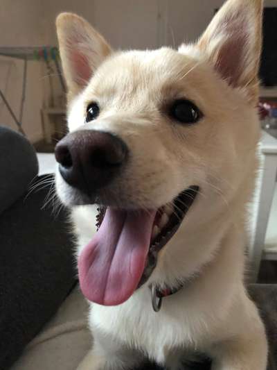 Challenge Nr. 10: "Das schönste Lächeln"-Beitrag-Bild