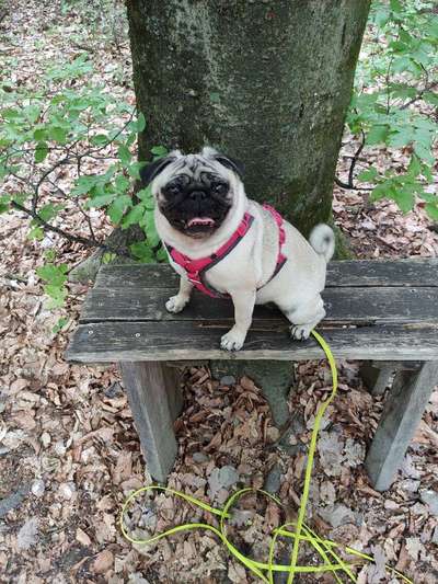 Handyfoto challenge Nr. 13: Waschlappen raus!-Beitrag-Bild