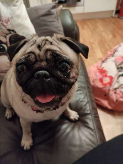 Handyfoto challenge Nr. 13: Waschlappen raus!-Beitrag-Bild