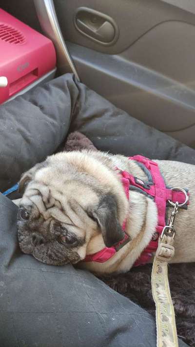 Fotochallenge 101:
On Tour-Beitrag-Bild