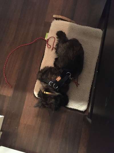 Die unbequemsten und lustigsten Schlafpositionen-Beitrag-Bild