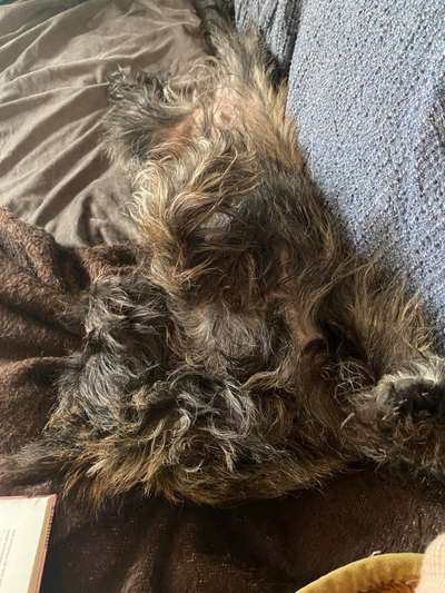 Foto Challenge - Zeigt her eure Bäuche-Beitrag-Bild