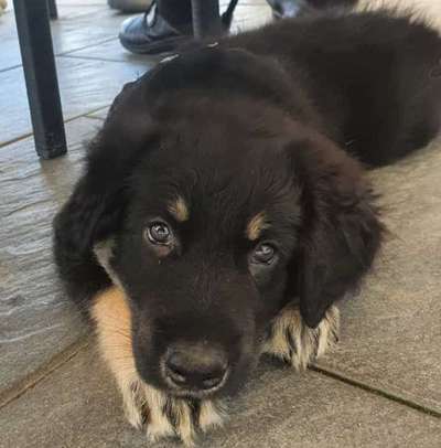 Das erste Foto-Beitrag-Bild