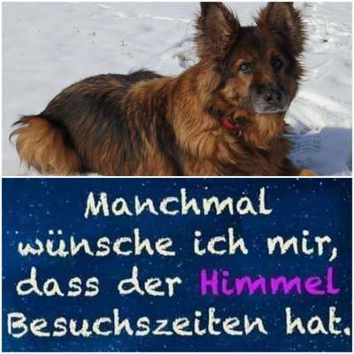 Fotochallenge Nr. 56 - geliebte Senioren-Beitrag-Bild