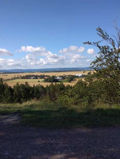 Hundeauslaufgebiet-Seeberg Alte Sternwarte-Bild