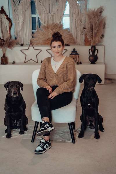 Hundetreffen-Hundemamis für Spaziergänge gesucht-Bild