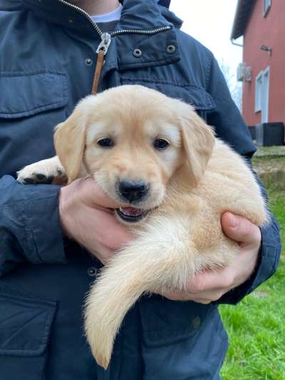 Lieblingsbild :D-Beitrag-Bild