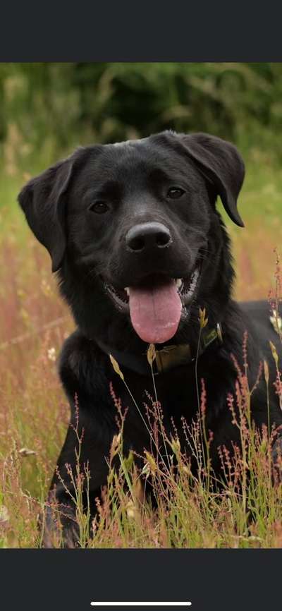 Fotochallange Nr. 57     PORTRÄT.   Beendet!!!!!!!!-Beitrag-Bild