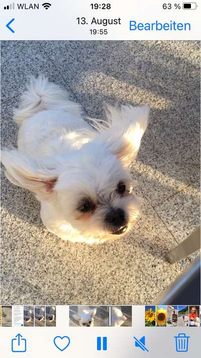 Fotochallenge Nr 50 Vom Winde verweht-Beitrag-Bild