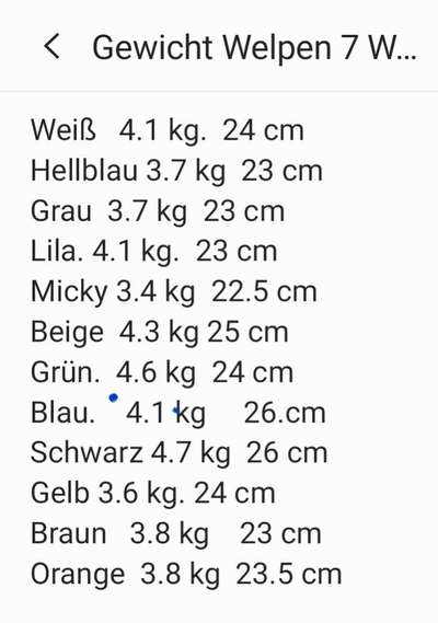 Rhodesian Ridgeback-Beitrag-Bild