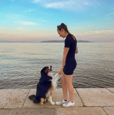 Hundetreffen-Canicross Partner