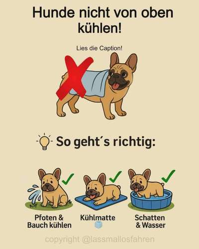 Zunge rollt nach oben(Video)-Beitrag-Bild